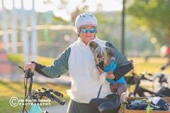 Jim-Austin-Pedal-Play-2025_6684_websize