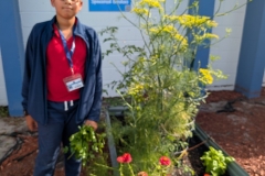 Tall-Dill-plant-w-student-RED