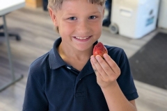 023-First-Strawberry-RED