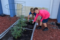 018_Helping-them-grow-RED