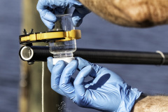 HOH-Collection-Jar-Sampling-Pole-6May2024-RED